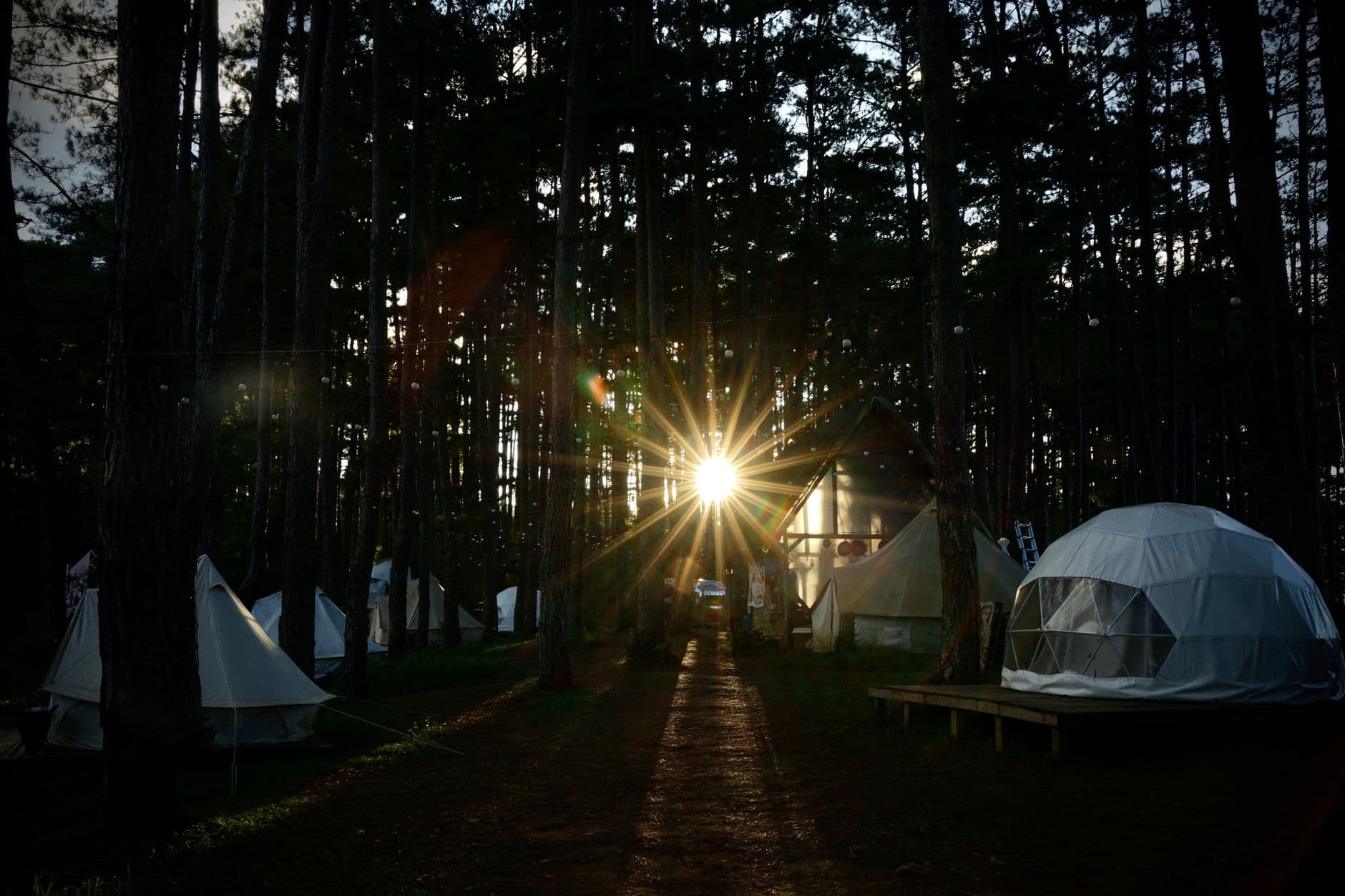 Sunset view of tents in a forested camping site in Dalat, Vietnam.